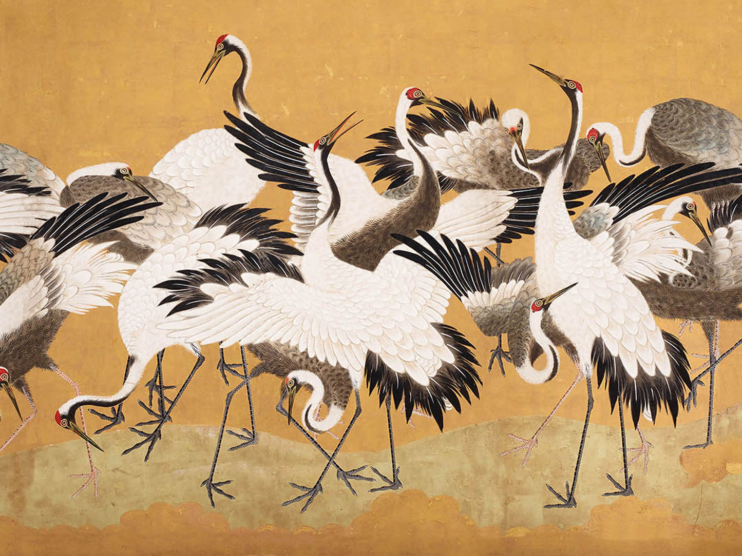 Crane Birds 